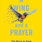 A Brief History of Wing and a Prayer